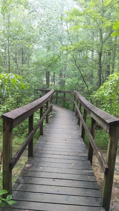 Chilhowee Campground Picture 9