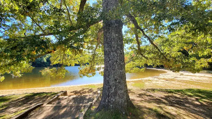 Chilhowee Group Camp Picture 7