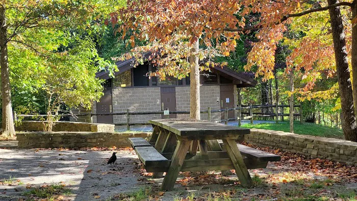 Chilhowee Group Camp Picture 6