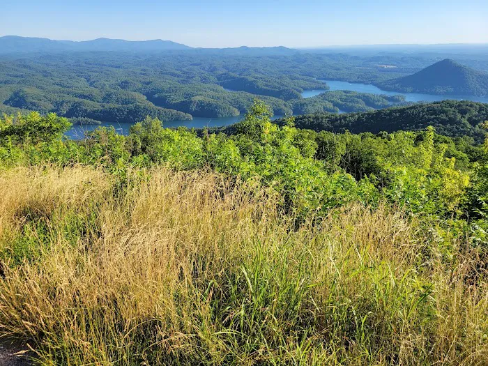 Chilhowee Group Camp Picture 5