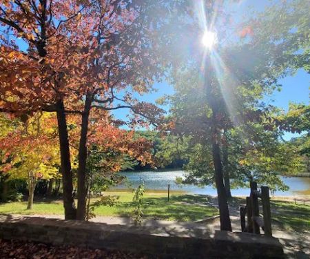 Chilhowee Group Camp