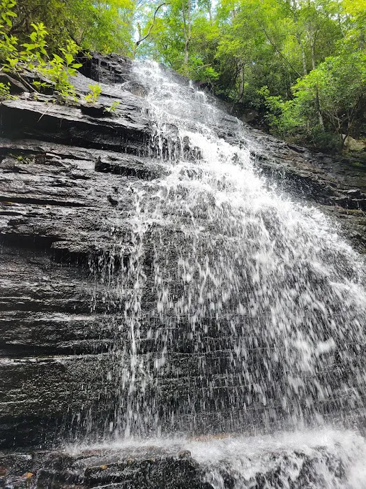 Chilhowee Group Camp Picture 2