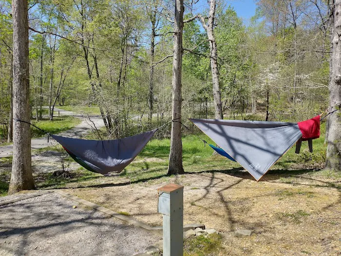 Chilhowee Campground Picture 2