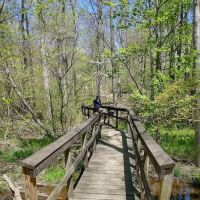 Chilhowee Campground ico