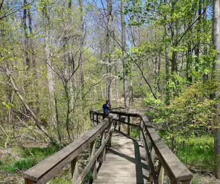 Chilhowee Campground