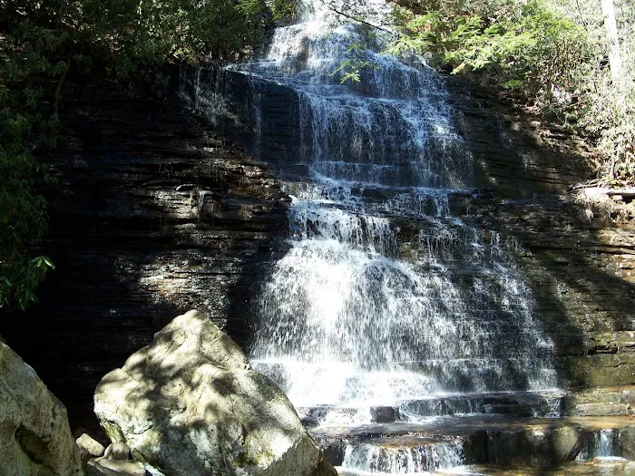 Chilhowee Campground Picture 6