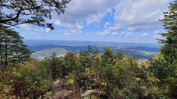Chilhowee Campground Picture 5