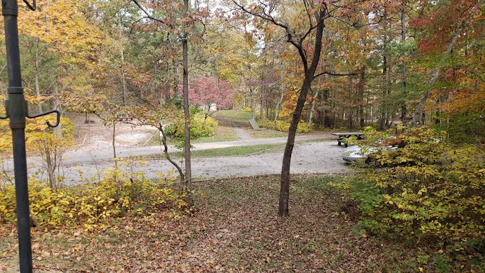 Chilhowee Campground Picture 9