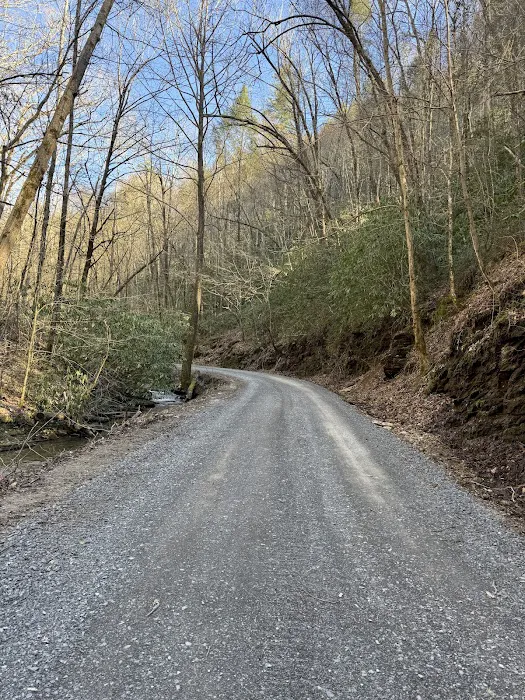 Lost Creek Campground Picture 8
