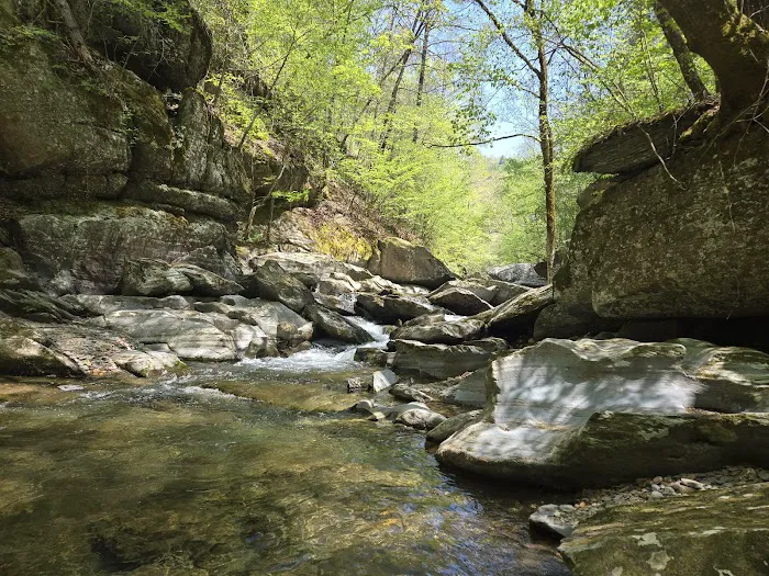 Lost Creek Campground Picture 6