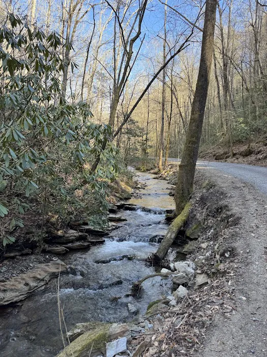 Lost Creek Campground Picture 9