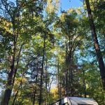 Parksville Lake RV Campground