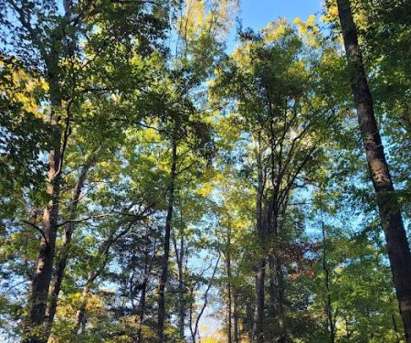 Parksville Lake RV Campground