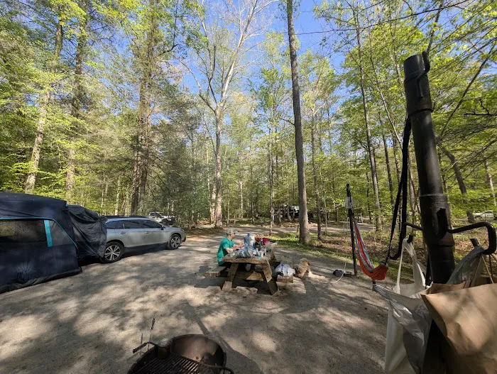 Parksville Lake RV Campground Picture 3
