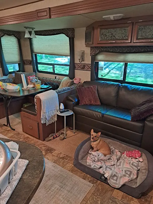 Armstrong Ferry Campground Picture 4