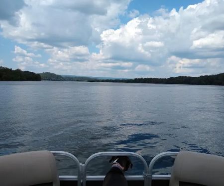 Armstrong Ferry Campground