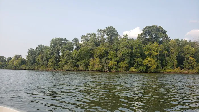 Armstrong Ferry Campground Picture 2