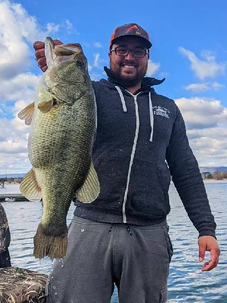 Armstrong Ferry Campground Picture 7