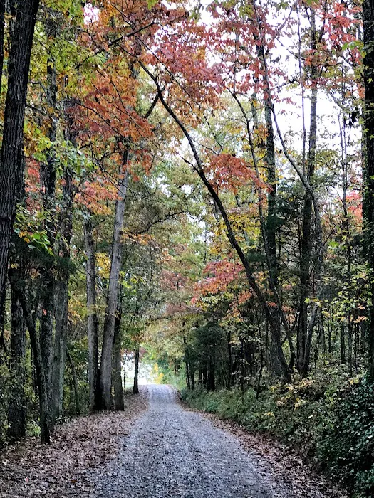 Boo and Bitty’s Campground Picture 6