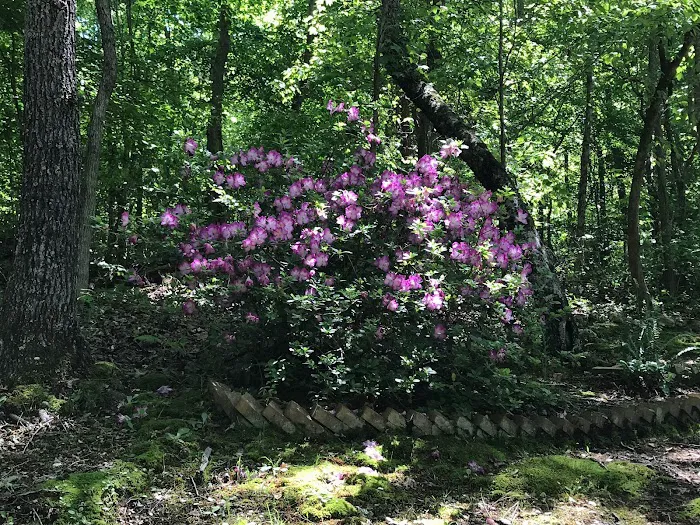 Boo and Bitty’s Campground Picture 3