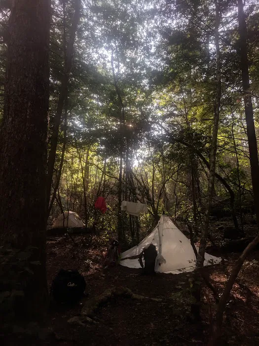 Upper Poly Branch Campsite Picture 2