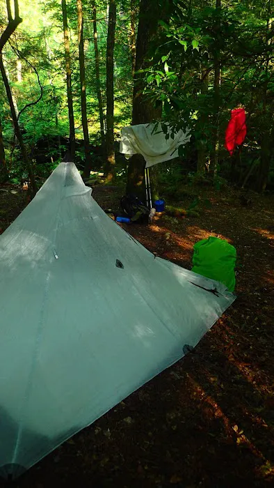 Upper Poly Branch Campsite Picture 4