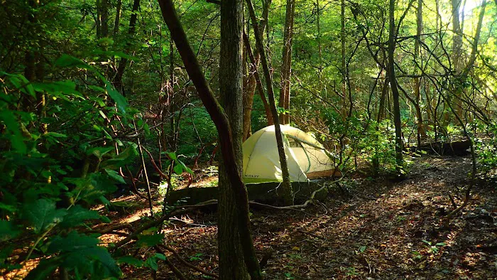 Upper Poly Branch Campsite Picture 3