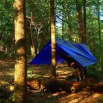 Upper Poly Branch Campsite