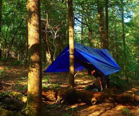 Upper Poly Branch Campsite