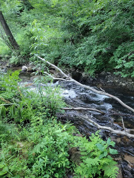 Big Spring Campground Picture 7