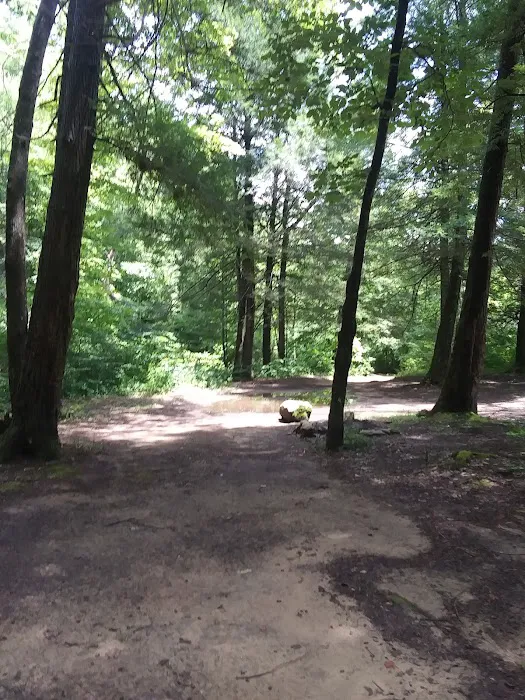 Big Spring Campground Picture 5