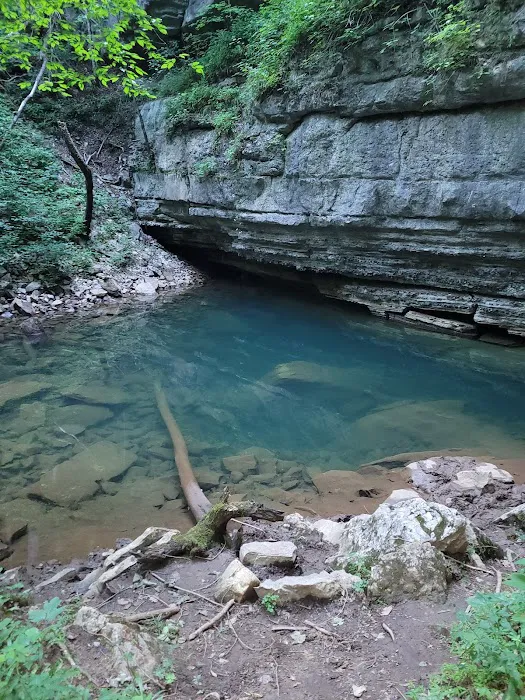 Big Spring Campground Picture 6