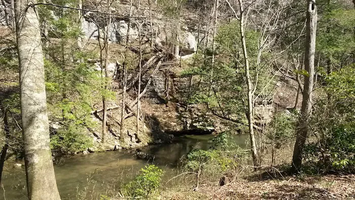 Big Spring Campground Picture 9