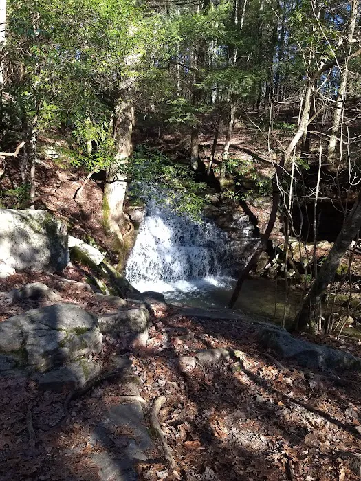 Martha’s Pretty Point Picture 9