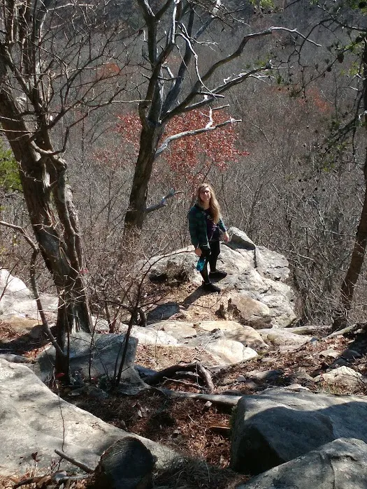Martha’s Pretty Point Picture 3