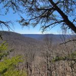 Martha’s Pretty Point