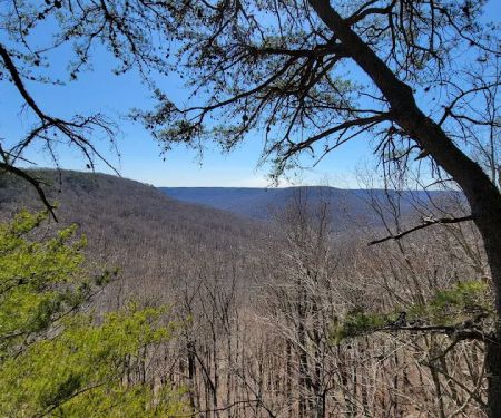 Martha’s Pretty Point