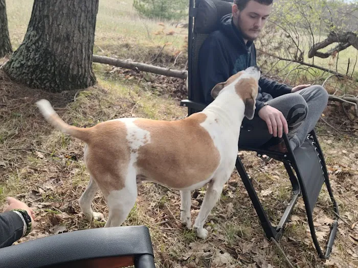 Rally Point Veterans Camp Ground Picture 7