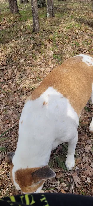 Rally Point Veterans Camp Ground Picture 3