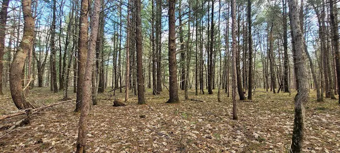 Rally Point Veterans Camp Ground Picture 8