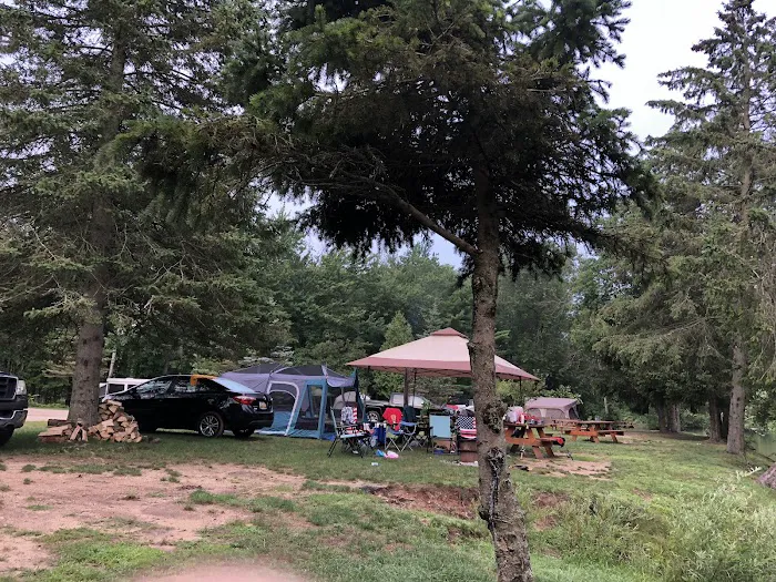 Matson's Big Manistee River Picture 7