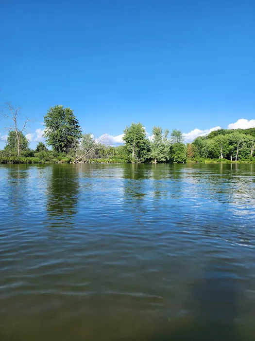 Matson's Big Manistee River Picture 4