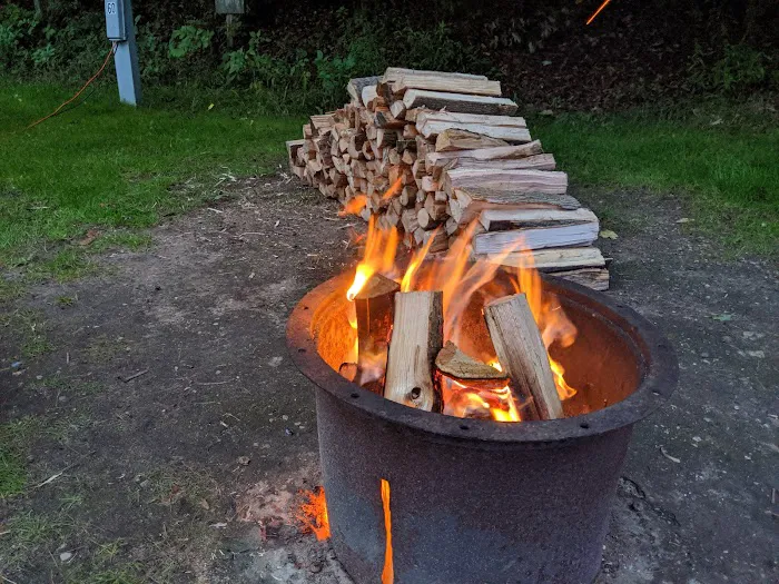 Matson's Big Manistee River Picture 6