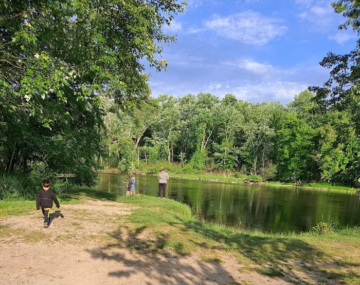 Matson's Big Manistee River Picture 8