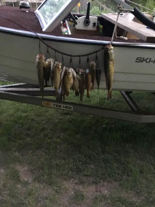 Burton's Trailer Park Picture 4