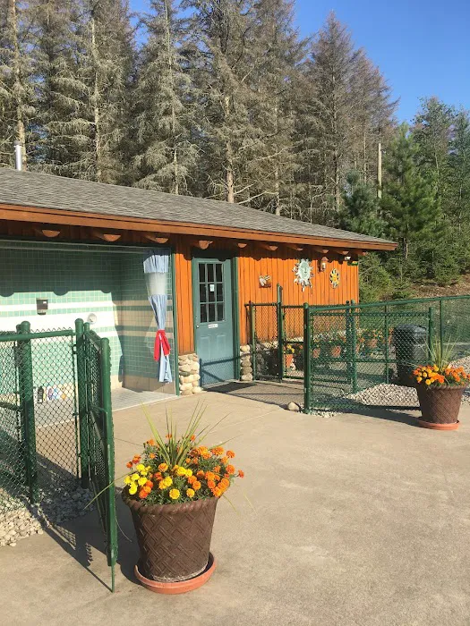 Spruce Hollow Campground Picture 10