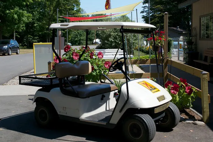 Traverse City KOA Holiday Picture 8