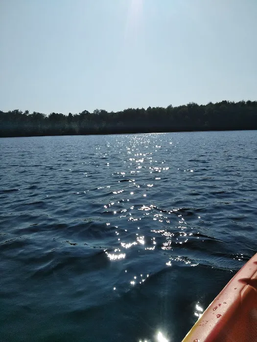 Healy Lake State Forest Campground Picture 1