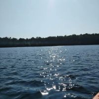 Healy Lake State Forest Campground ico