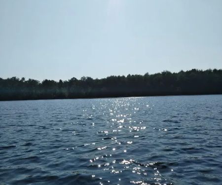 Healy Lake State Forest Campground